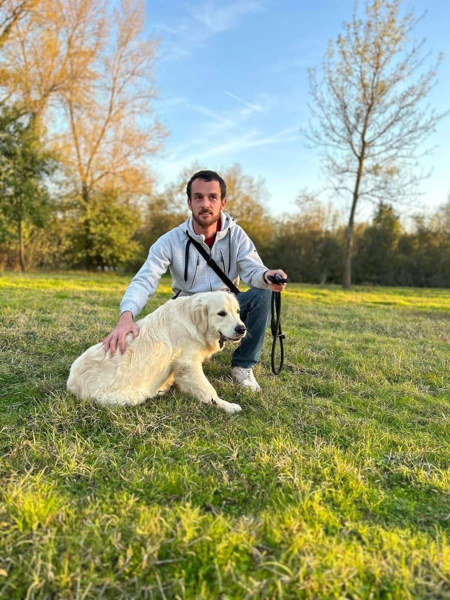 Profil von Yannis